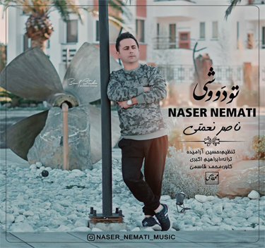 ناصر نعمتی تودووشی